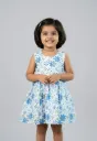 Blue Blossoms Frock 